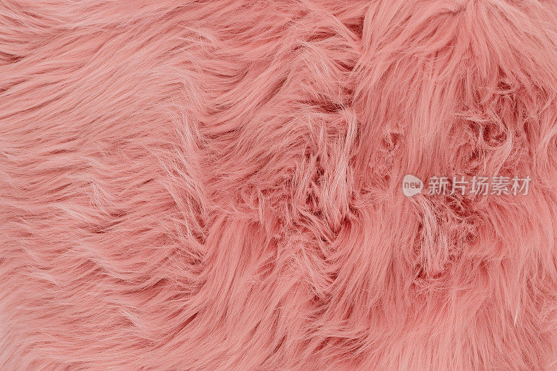 粉色皮草背景。粉色羊皮背景和纹理。