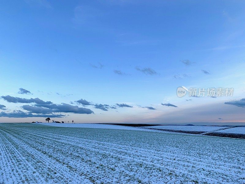 蓝天下的农田上的雪