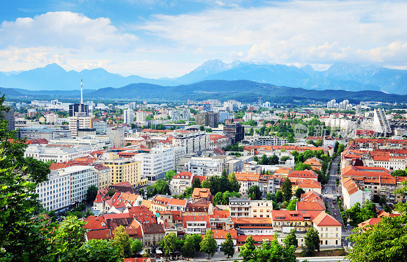 总统的告别,Slovenia