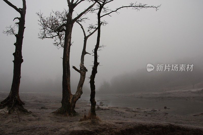 水边雾蒙蒙的早晨