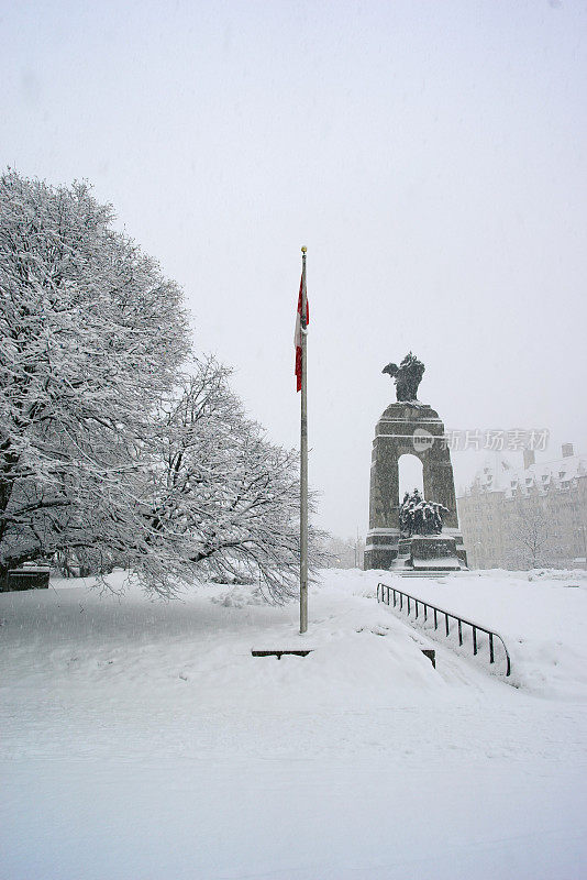 暴风雪给渥太华降下了8英寸的雪