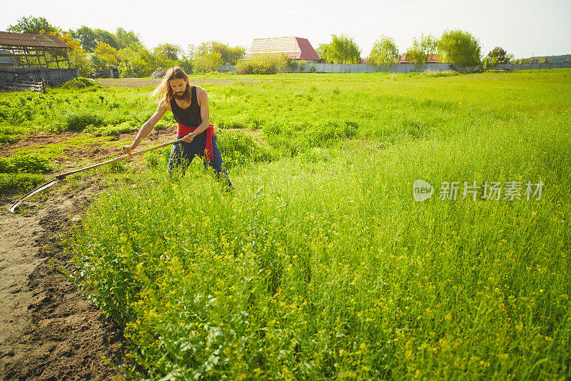 农民在夏季草地上用经典的镰刀割草