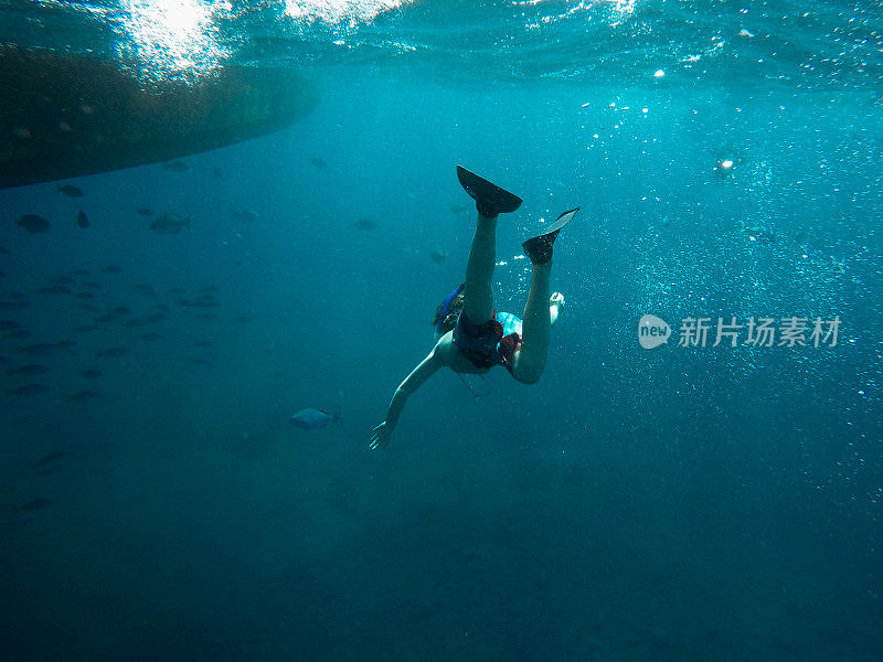 男孩和鱼在夏威夷美丽的蓝色水中游泳。