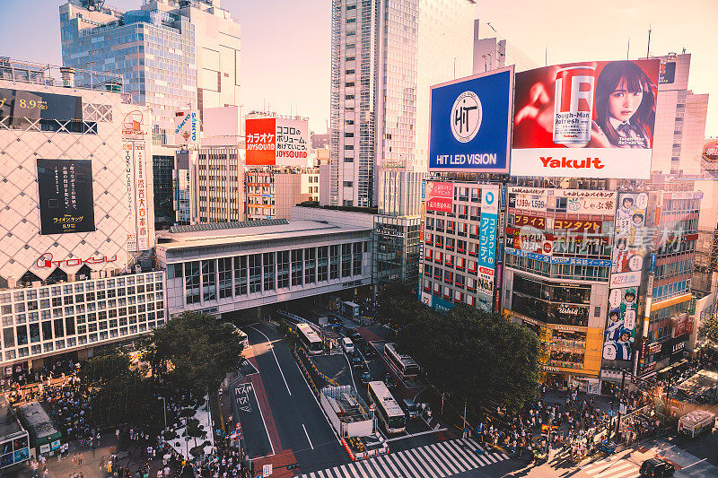 日本东京涩谷鸟瞰图