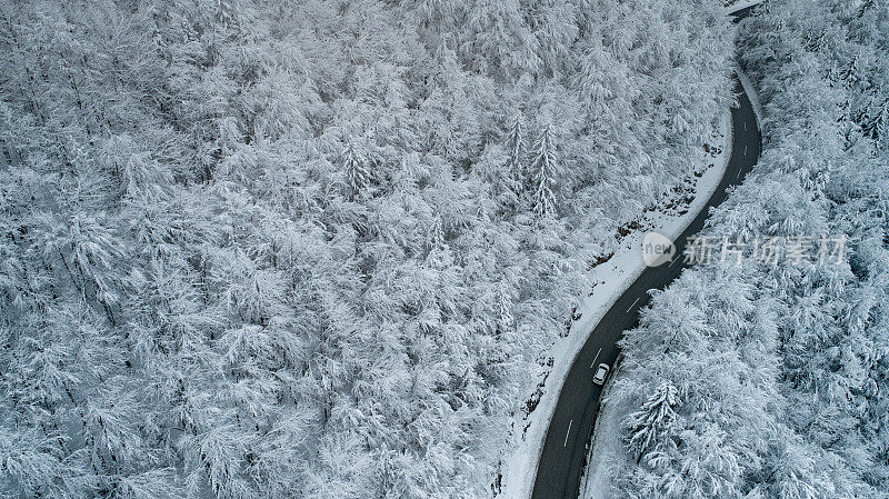 汽车在穿越冬季森林的道路上行驶