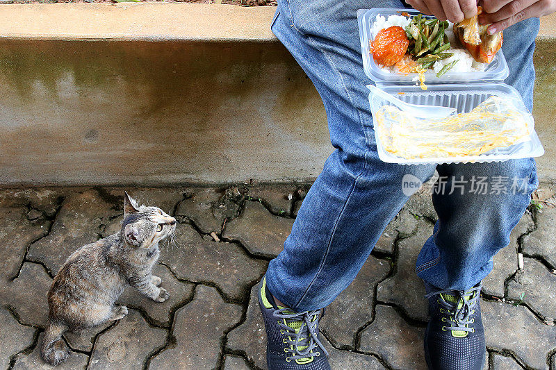 吃饭的时间到了!Meowwww……