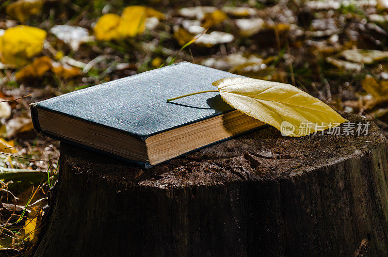 在秋天的森林或公园的树桩上的书和枯黄的落叶。十月阳光明媚的周末，在公园里。特写镜头
