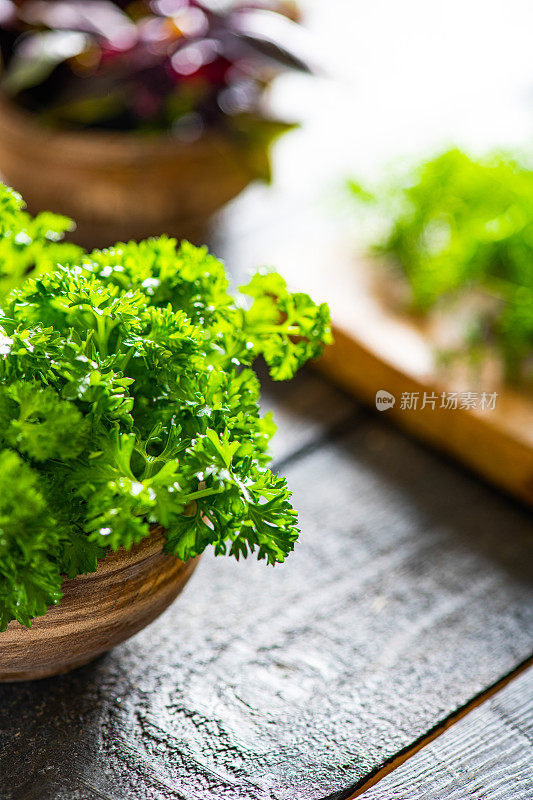 乡村背景上的新鲜欧芹