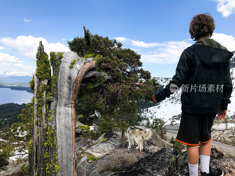 在加州特拉基的唐纳湖上，孩子们在美丽的唐纳山口山顶远足