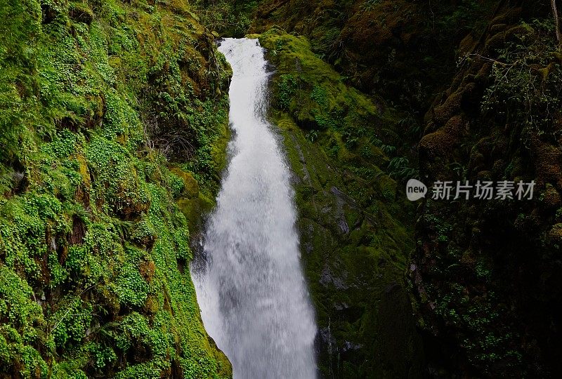 远程俄勒冈州淡水