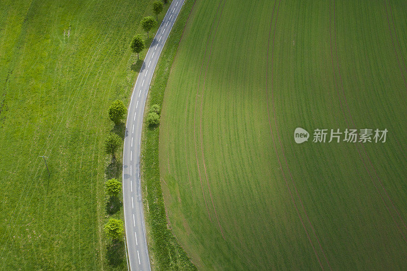 蜿蜒的道路穿过农业区