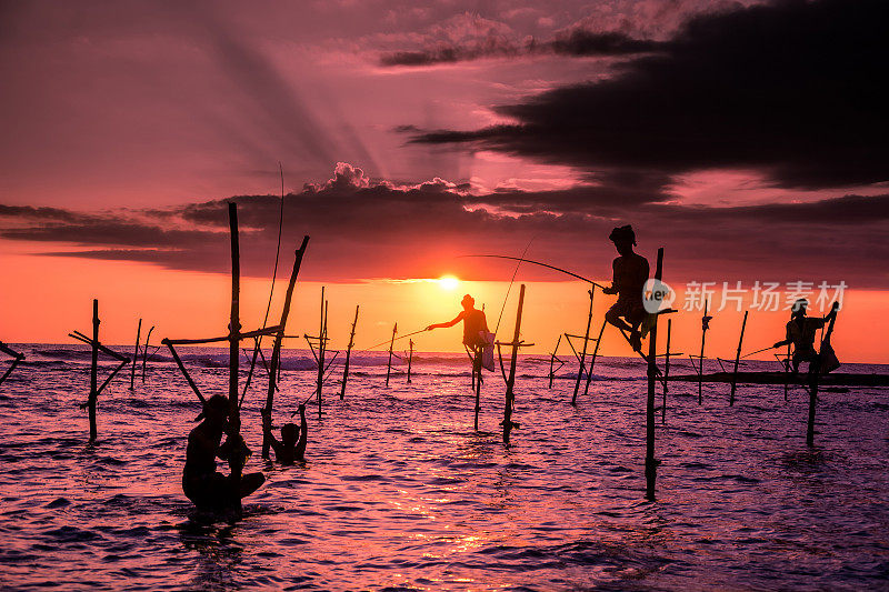 斯里兰卡传统的高跷渔民