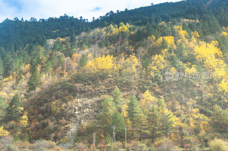 中国，西藏，四川，亚丁，香格里拉山，秋天的自然景观