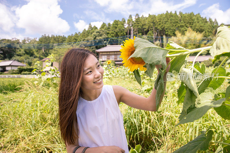 年轻女子在农场触摸向日葵