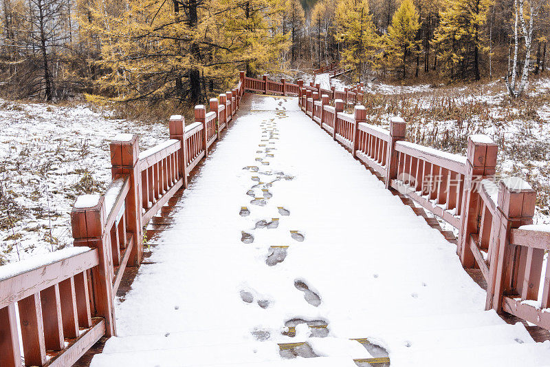 湖边树林里的木质楼梯上覆盖着积雪和脚印