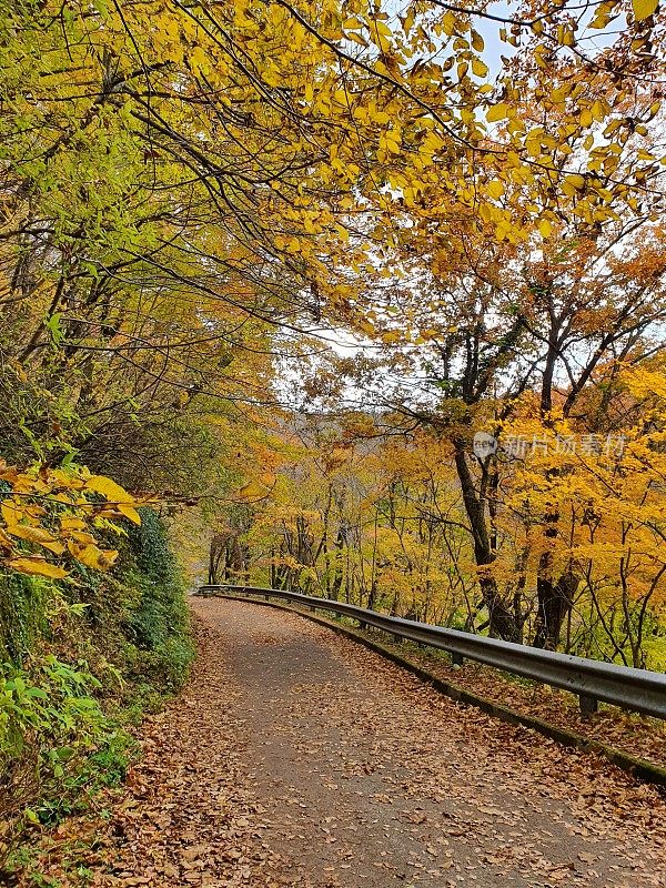 韩国济州岛的秋季景观