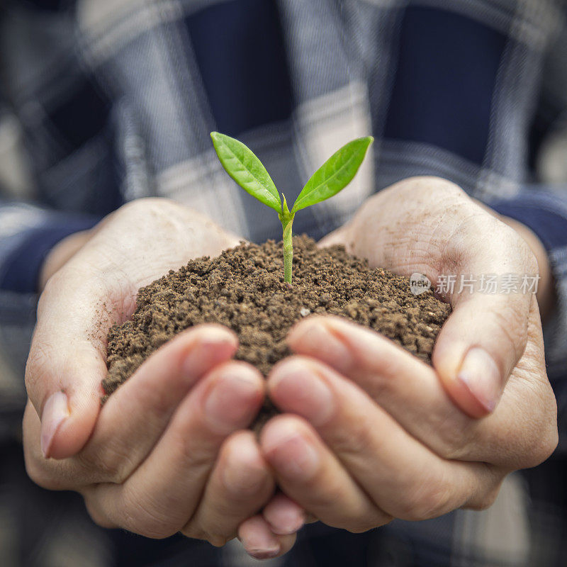 企业成长理念:关爱新生命-育婴植物