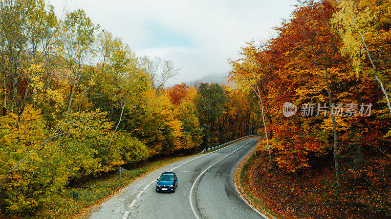 鸟瞰图的蓝色汽车在蜿蜒的山路在森林在秋天