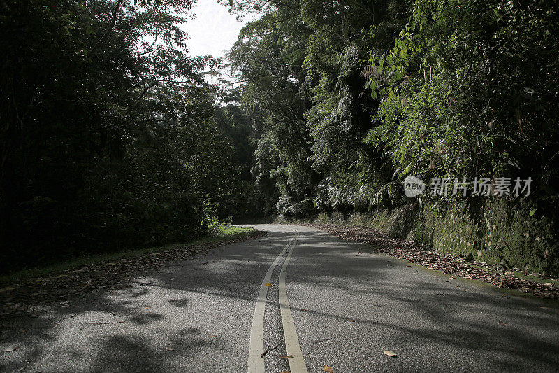 空无一人的道路