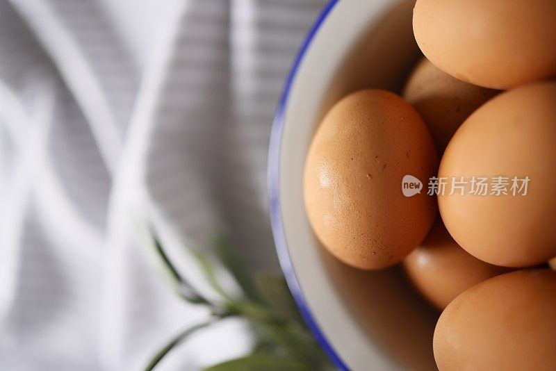 一盘棕色的鸡蛋上有灰白色条纹的封面，盘灰色搪瓷和侧面涂海军蓝，旁边的盘子是一个人造橄榄枝，特写