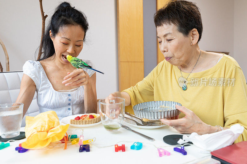 和宠物在家里庆祝生日