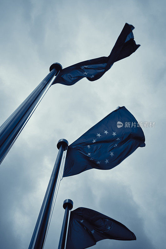 布鲁塞尔的欧洲国旗