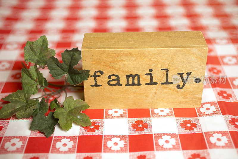 用打字机字体写着家庭的木块坐在红色格子桌布上。木块周围更绿。