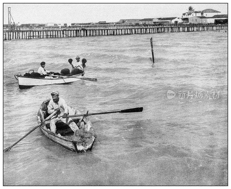 古董黑白照片:在古巴巴塔巴诺收获海绵