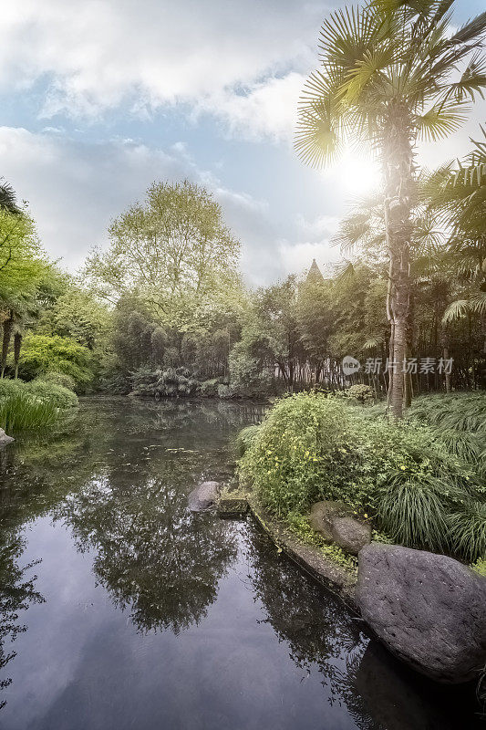 中国杭州西湖边的绿色植物