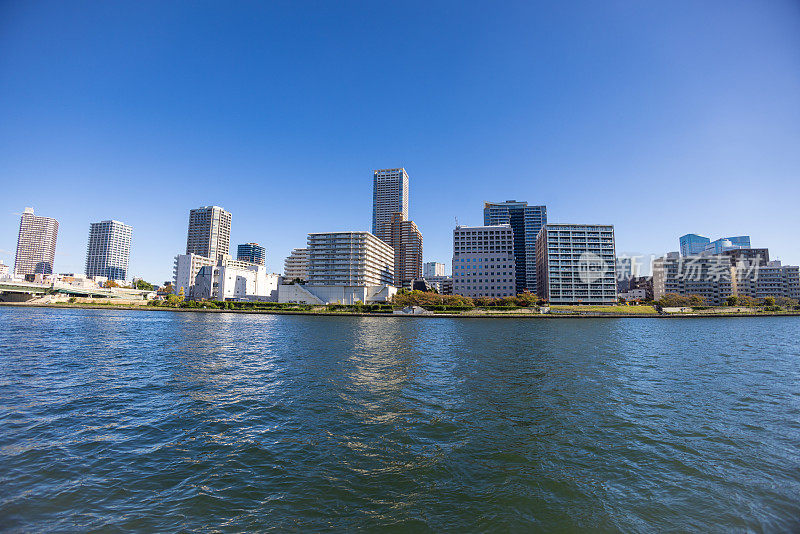 广阔的视野从河边在城市