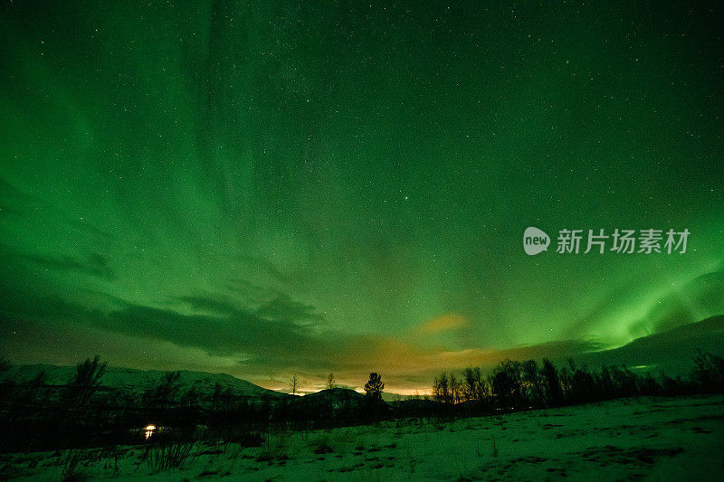 北极光在夜空中，山峦和云杉的轮廓