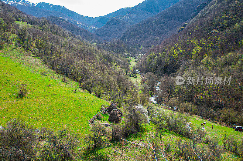 斯塔拉平原或古山，美丽的风景