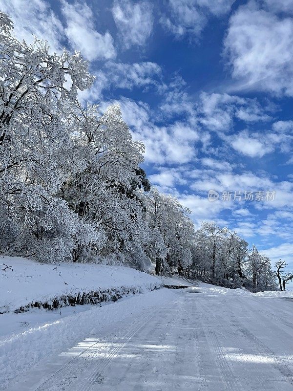 谢南多厄国家公园-阿巴拉契亚步道-冬季雪景