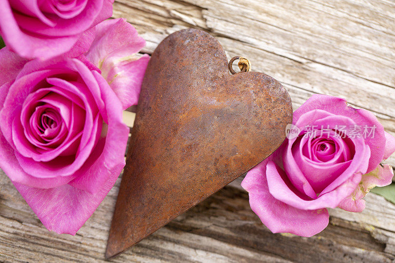 粉红色的玫瑰花朵和生锈的心排列在木板上