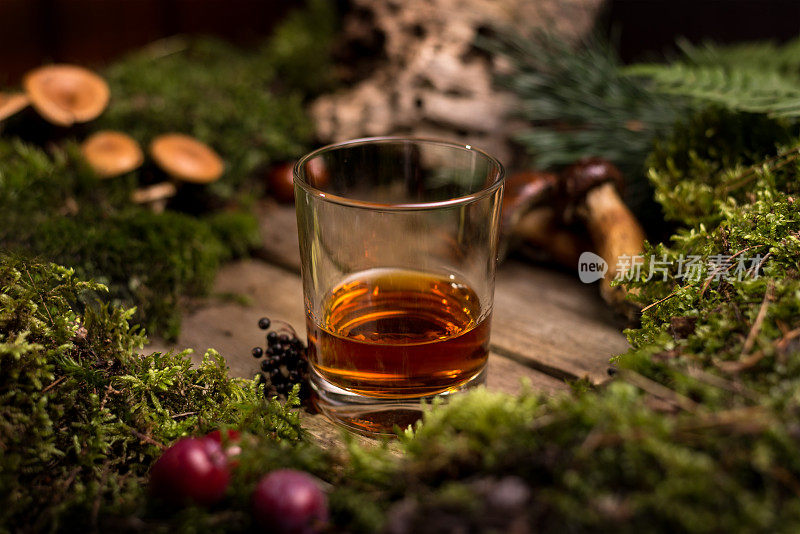 威士忌杯在野生的自然背景绿色苔藓，蘑菇和蕨类植物的叶子。酒精饮料的广告形象。