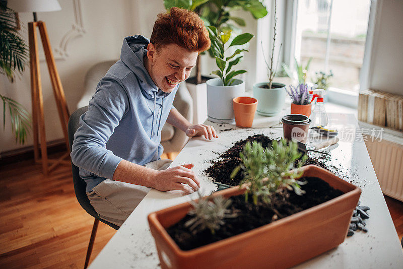 红发少年在家里种植室内植物