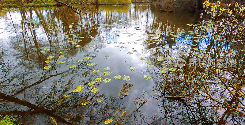 水仙花湖，春树，阳光，风景秀丽，风景一般，季节路巷乡村