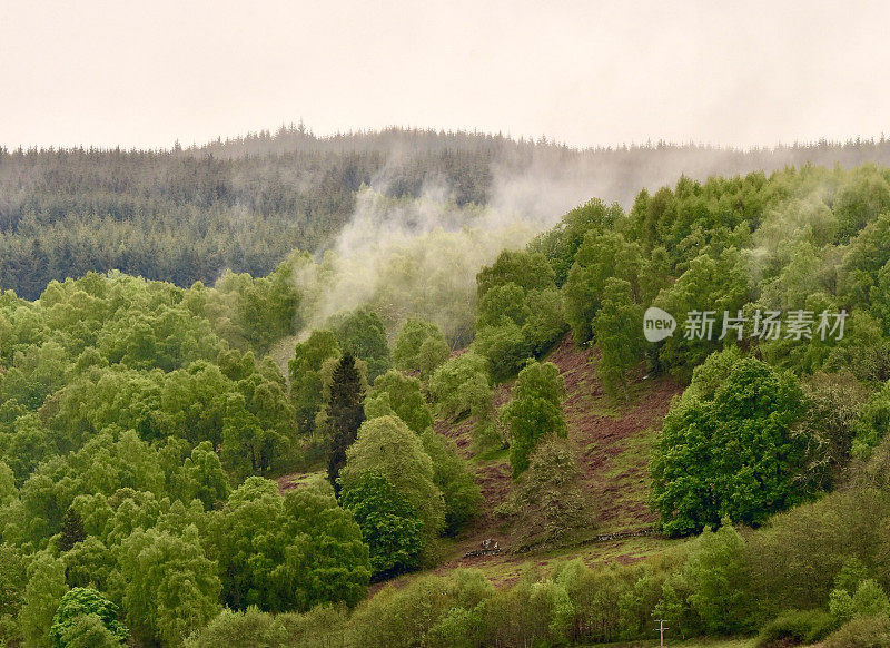 苏格兰高地