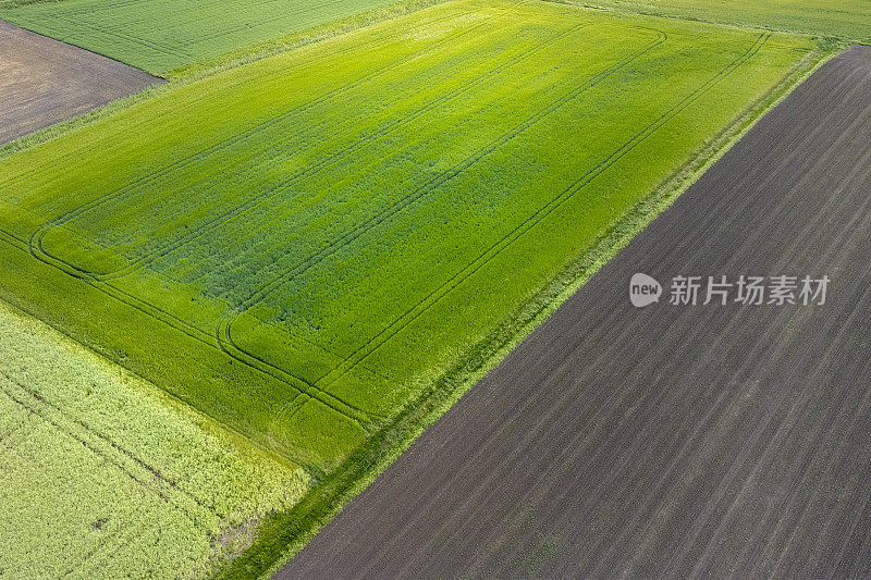 农业区域，鸟瞰图