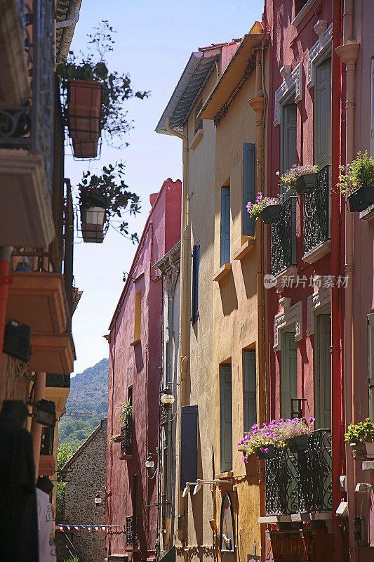 色彩斑斓的狭窄街道在Collioure，比利牛斯-东方山，朗格多克-鲁西永，法国