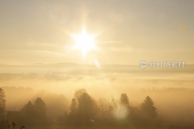 雾蒙蒙的早晨