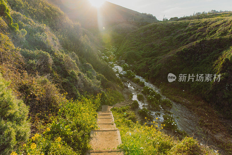 大苏尔海岸马蹄莲花谷的风景