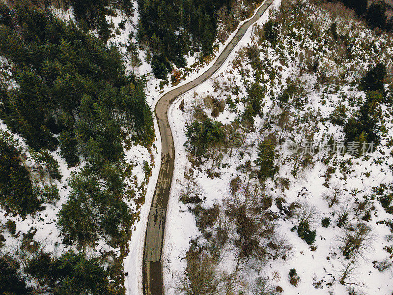 森林中道路的鸟瞰图，两侧有雪