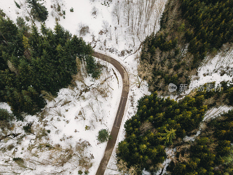 森林中道路的鸟瞰图，两侧有雪