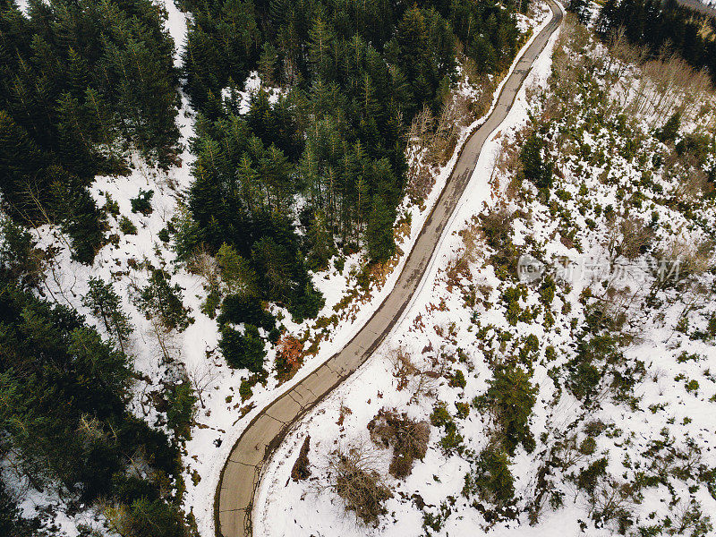 森林中道路的鸟瞰图，两侧有雪