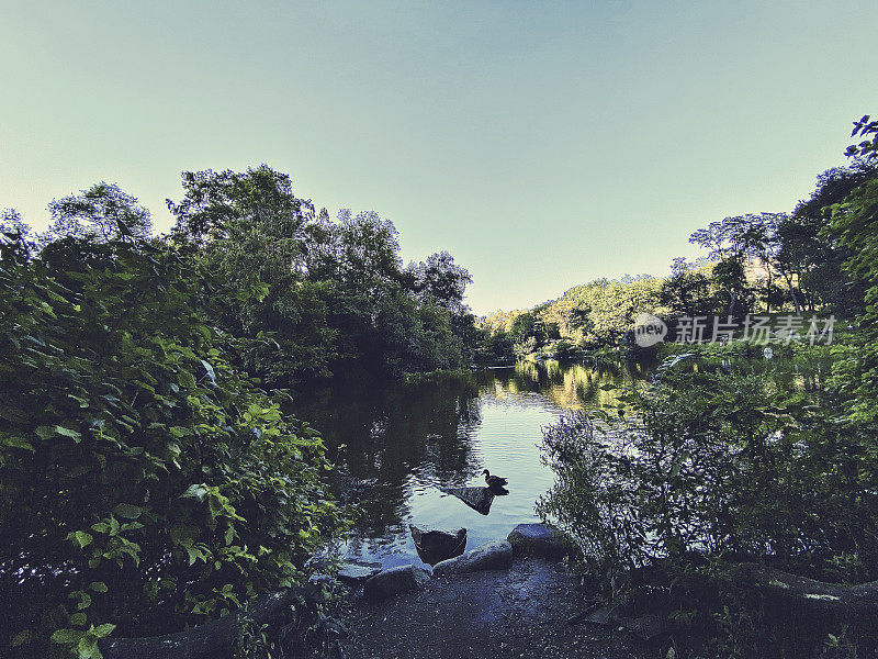 复古风格景观