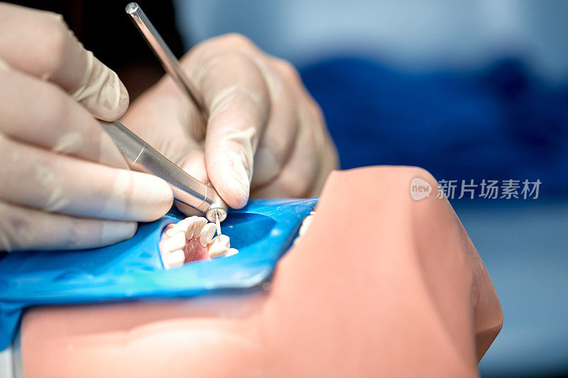 牙医的手正在学习治疗人类头部假人的牙齿的特写。医学生的双手戴着无菌白色手套，拿着牙钻。口腔医学和正畸学的概念。