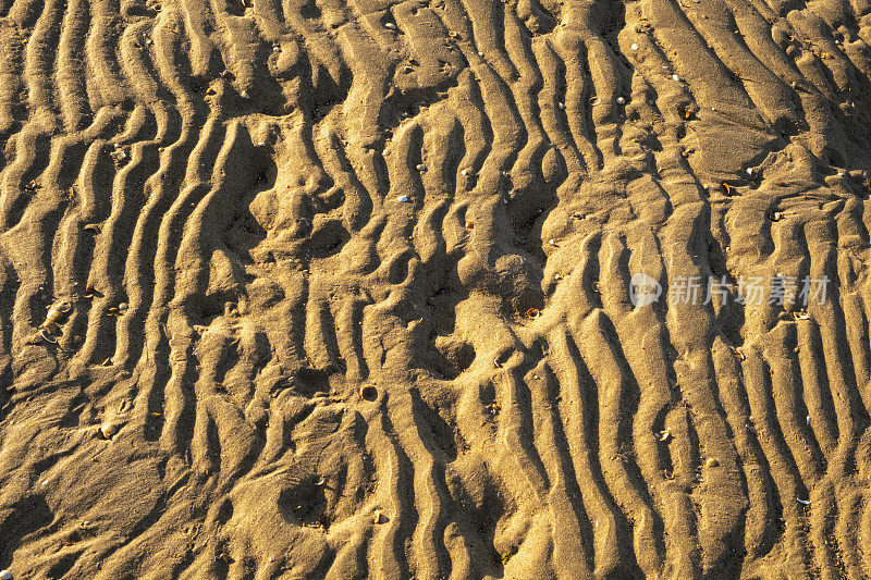 海水和潮汐在沙滩上留下的曲线、痕迹和形状。