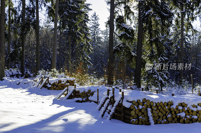 一堆被雪覆盖的圆木
