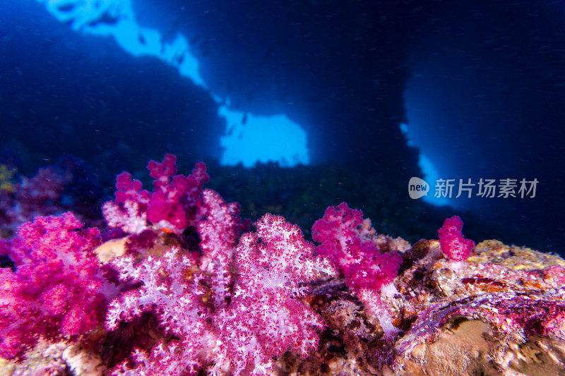 烟囱式水下洞穴系统是泰国最好的潜水地点